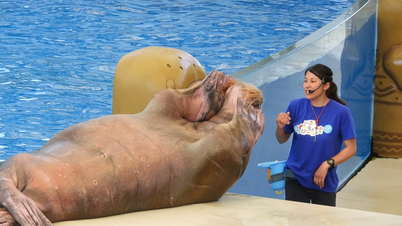 Hakkeijima Sea Paradise 