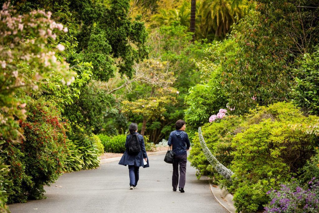 Walk through the Carlton garden