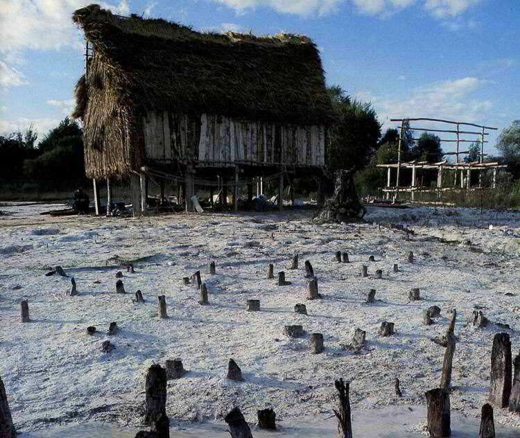 The Prehistoric Pile Dwellings Around the Alps
