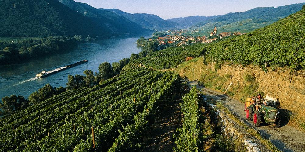 Wachau Landscape