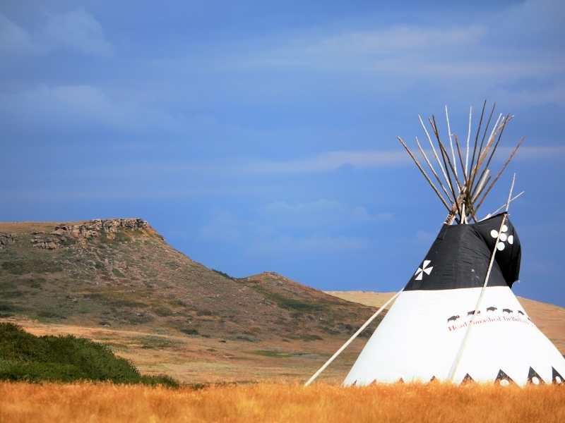 Head Smashed IN Buffalo Jump