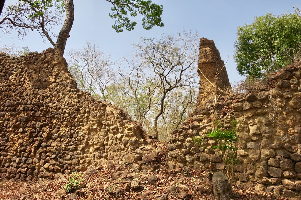 Ruins of Loropéni 