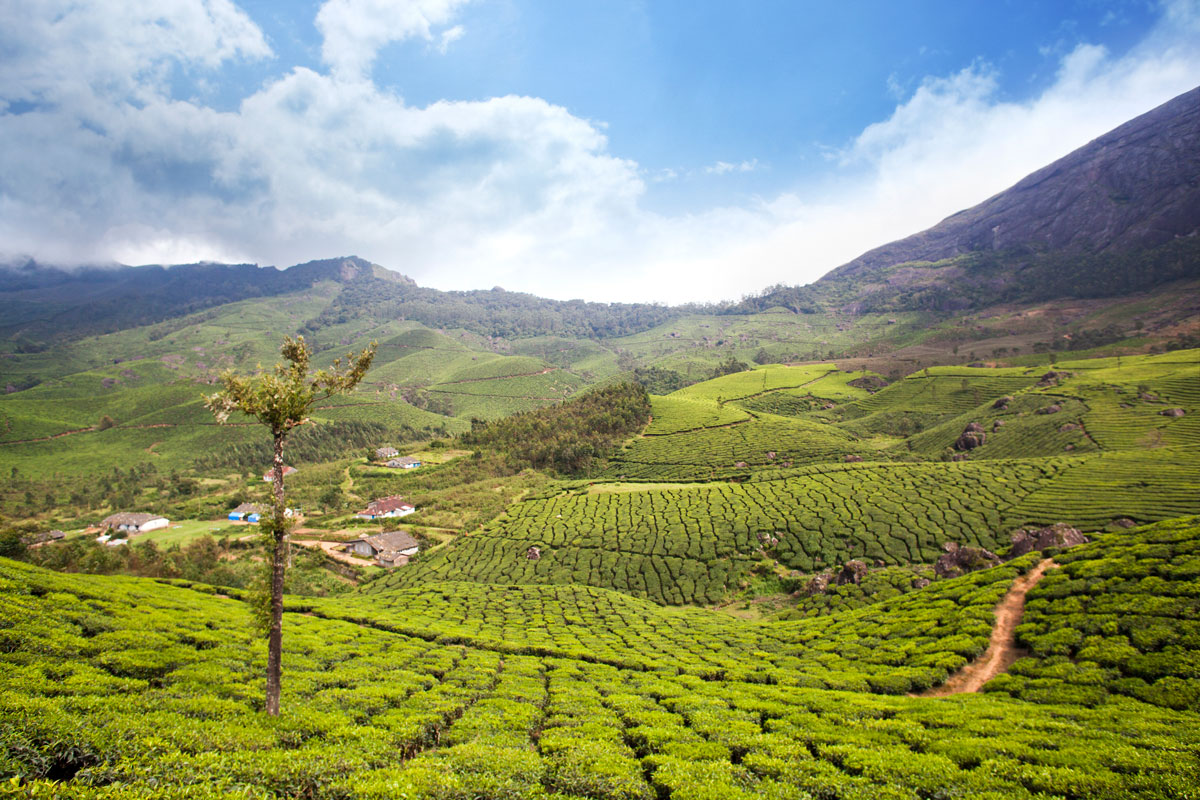 Munnar Hill Station