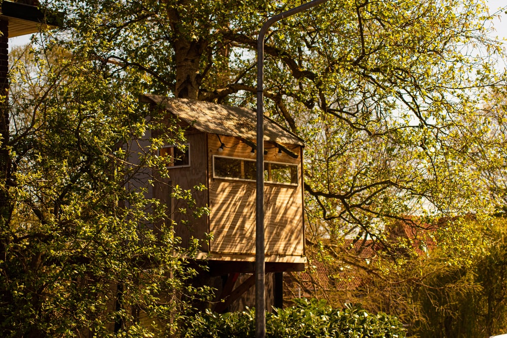 tree house